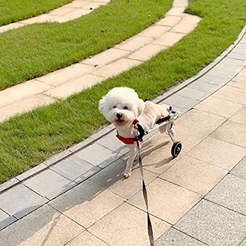 Poussette à 2 roues pour chien avec support complet de rééducation