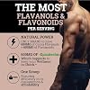 Black Forest High Flavanol Cocoa Powder - 1200mg Flavanols & Flavonoids with 600mg Epicatechin - 10X Concentrated Dark Cocoa Extract for Nitric Oxide and Wellness Support - Non-GMO Vegan