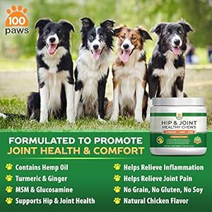   Hip-Joint-Supplement-for-Dogs-Hemp-Oil-Infused-Soft-Chews-Dog-Treats-wGlucosamine-Turmeric-Chondroitin-MSM-Omega-3-6-9-Supports-Pet-Mobility-Pain-Relief-120-Treat-Bites