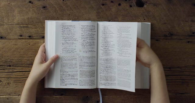 Image of ESV Women's Study Bible (Hardcover, Pink Wildflower Design): Holy Bible, English Standard Version
