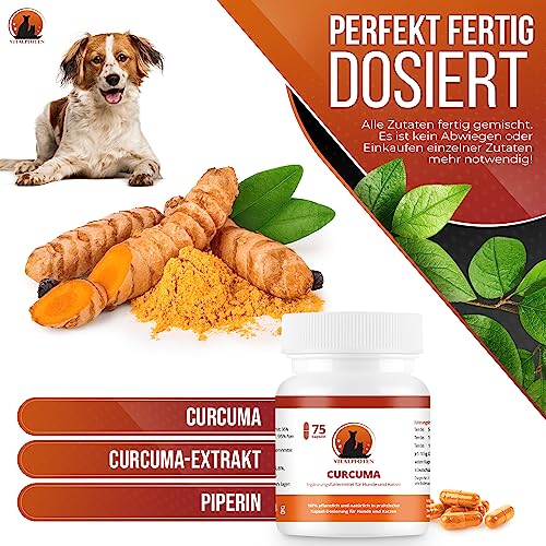 Vitalpfoten 75 Curcuma Kapseln für Hunde und Katzen mit Curcumin und Piperin, Ergänzungsfuttermittel sanfte Dosierung, Herstellung in Deutschland, höchste Reinheit und Qualität