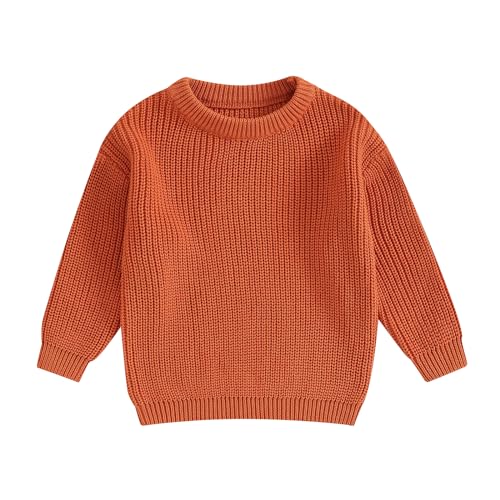 ZAXARRA Toddler Baby Autumn Sweater, Solid Color Knit Long Sleeve Round Neck Knitwear Pullover Winter Sweatshirt (Orange, 3-6 Months)