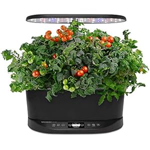 60th Birthday Presents 17 51S+V8WlgjL. AC US299