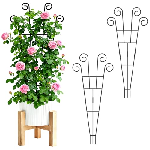 WELDUN 2er Rankgitter 75CM für Topfpflanzen Metall Pflanzentrellis Gartentrellis Innen- und Außenbereich für Gemüse, Rosen und Weinreben