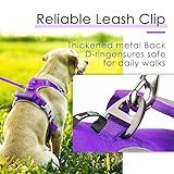ThinkPet Hundegeschirr gegen Ziehen, atmungsaktiv, mit Griff, reflektierend, verstellbar für mittelgroße und große Hunde, Clip hinten/vorne für einfache Kontrolle, Größe M, Neonviolett