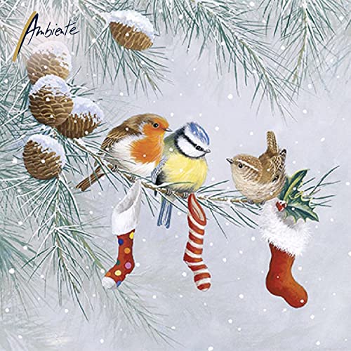 Set of 2 Individual Decoupage Paper Party Napkin CHRISTMAS BIRDS Watercolor Decor Luncheon Napkins for a Birthday Holiday, Wedding, Cocktail Party