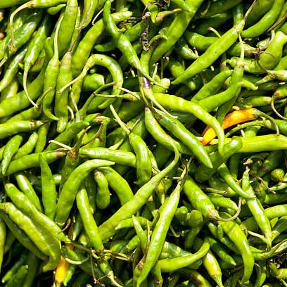 Willvine Green Chilli Premium Grade-RJ-9V-image-47