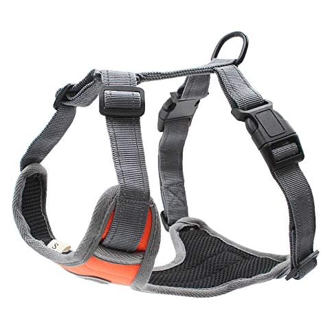 Z ZHIZU Dog Harness No Pull Dog Harness Adjustable Outdoor Dog Vest Soft Dog Harness Front for Dogs Easy Control for Small Medium Large Dogs (M, Orange) Cover