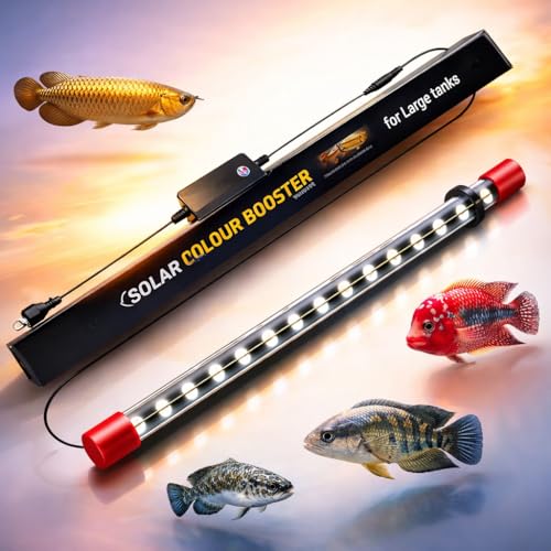 Image of VAYINATO Solar Colour Booster Aquarium LED Light - Tanning Pro Fish Color Enhancing Lamp | Professional Aquarium Lighting for Arowana, Channas, Cichlids, Flowerhorn (L-80 (Suitable for 80 Cm Tank))