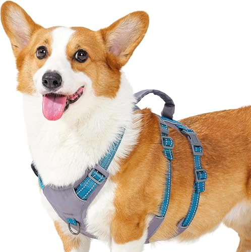 Huntboo Sicherheitsgeschirr Hund Ausbruchsicher, Panikgeschirr für Hunde, Reflektierendes Geschirr Hund mit Griff, Verstellbare Hundegeschirr für kleine, mittelgroße und große Hunde (Blaugrün,M)