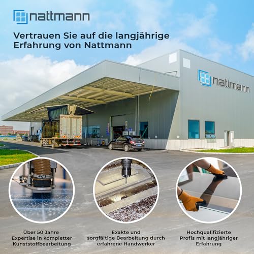nattmann GS farbig, 3mm - vielseitig einsetzbare, bruchfeste Acrylglasplatte für Lichtobjekte und mehr, Markenqualität in 25x50 cm - grün transluzent (6H01)