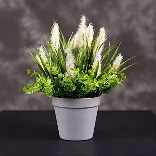 ZMXZMQ Mini Künstliche Topfpflanzen, Gefälschte Frische Grüne Grasblume Im Grauen Plastiktopf, Für Haupt- Und Büro-Desktop-Dekor,Pterospermum