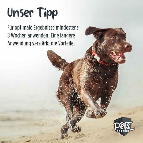 Pets PROTECT reines KOLLAGEN-Pulver für Hunde & Katzen 300 g | Gelenk-Gesundheit Hund | Kollagen-Hydrolysat aus Deutscher Herstellung | 100% natürlich | Collagen mit maximaler Nährstoffdichte