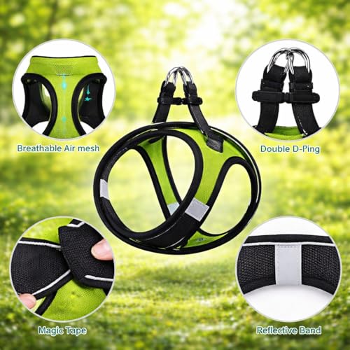 Image of Berlin's Cat Harness with Leash for Outdoor, Walking, Escape Proof, Air Mesh Fabric, Easy Control, Adjustable & Durable Cat Leash with Harness for Cats (Black-Parrot Green, Large)