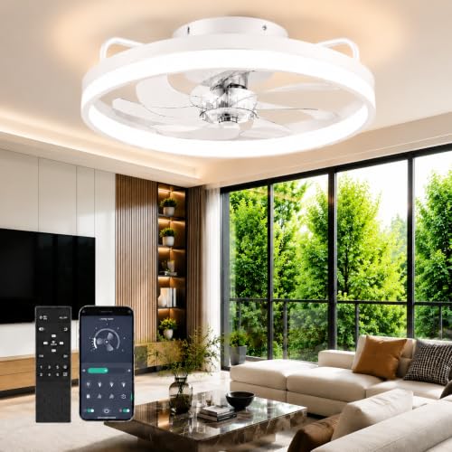 Image of Ceiling Fans with Lights and Remote - 20'' Low Profile Ceiling Fan | 1-6 Wind Speeds, Reversible, Timer, 3000-6500K Dimmable LED Fan Light, Modern Flush Mount Ceiling Fans for Bedroom, Kitchen