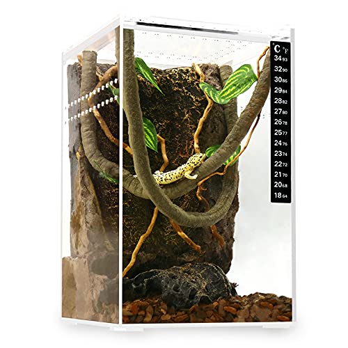 Cubiertas para Terrarios