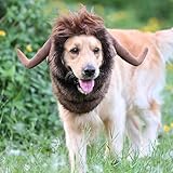 Dog Cat Moose Costume, Realistic & Funny Pet Mane Wig, Cute Dog Halloween Costumes for Small to Large Dogs Cats Puppy, Complementary Lion Mane Cosplay Party Clothes Christmas Accessories (L)