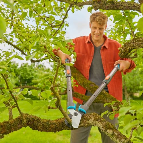 Gardena TeleCut Pro L, cisaille à branches télescopique pour bois frais jusqu'à 50 mm, extensible jusqu'à 900 mm, lames affûtées avec précision, PowerCoating pour des coupes nettes (12041-88)