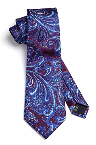 Image of HISDERN Ties for Men Paisley Tie and Pocket Square Woven Classic Floral Mens Ties Handkerchief Set Wedding Party Necktie