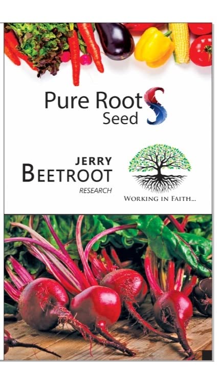Pure Root Seed Jerry Beetroot (Research) Beet Root Vegetable Plant ...