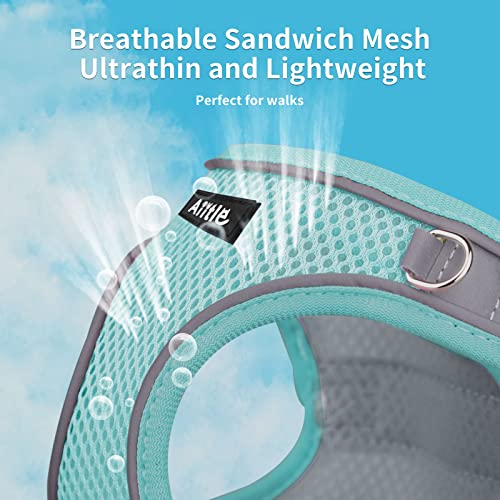 AIITLE Hundegeschirr, No-Pull Katzengeschirr mit Leine, einstellbare reflektierende Hundeweste, Welpengeschirr fluchtsicher, Spaziergang im Freien für extra kleine Hunde und Hauskatzen Türkis XXXS