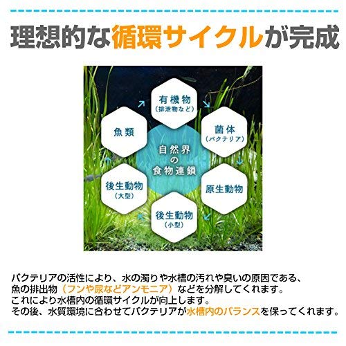 Amazon.co.jp: 【詰め替え用】「水質浄化活性石バクチャーストーン