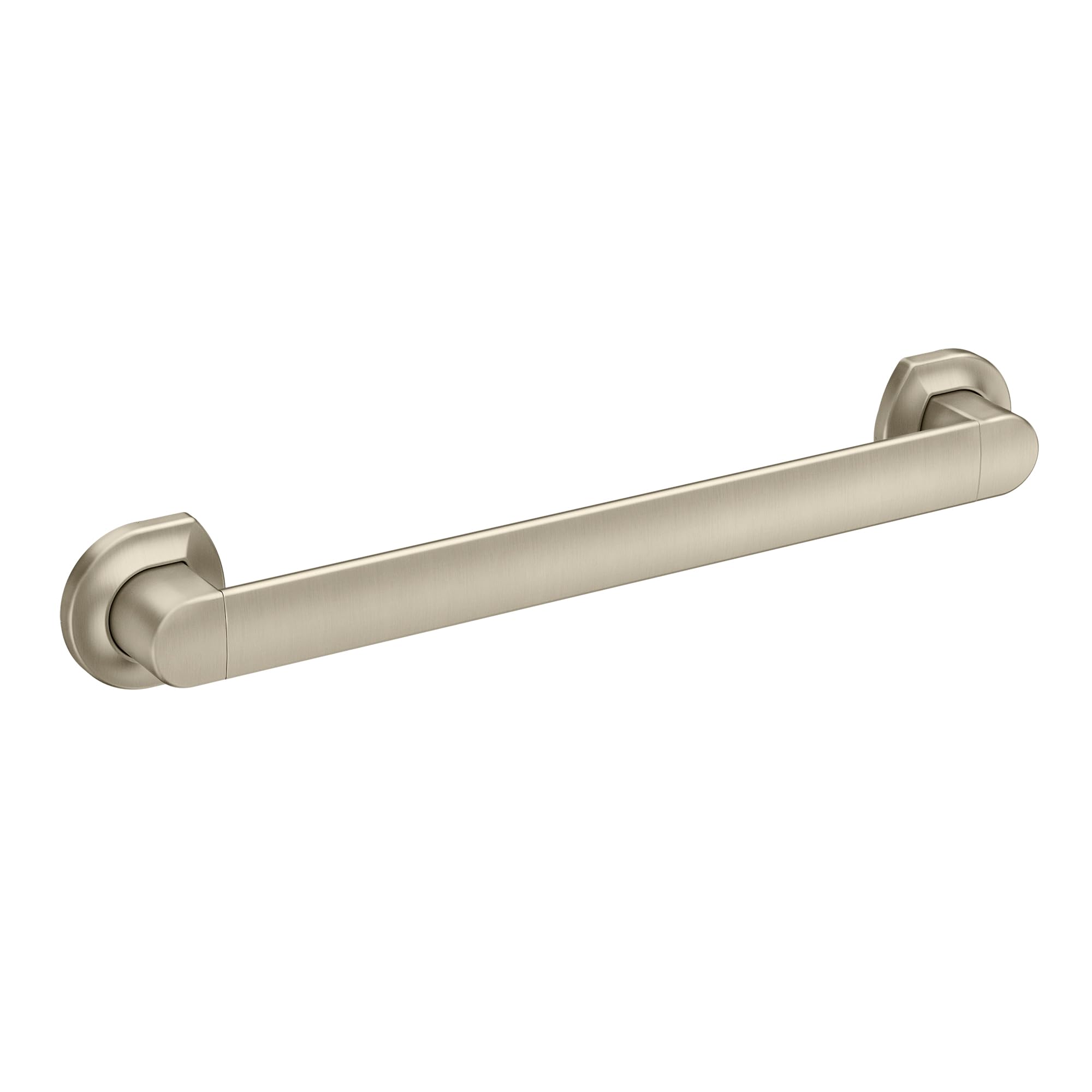 Amazon.com: Moen Genta Brushed Nickel 18