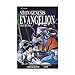 Neon Genesis Evangelion, Vol. 2