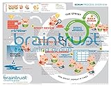 Learn Scrum Visually! - Laminated Scrum Process Diagram - Great Certified ScrumMaster (CSM) Study Guide!