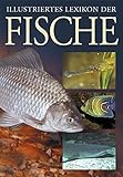 fischer lexikon publizistik massenkommunikation inhaltsverzeichnis  Illustriertes Lexikon der Fische (Fauna und Flora)