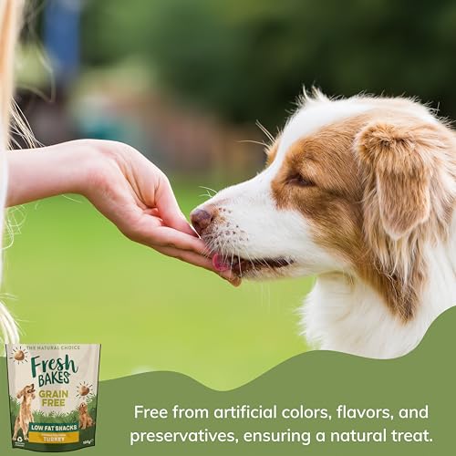 Weight Control Dog Food Bundle includes Metabolic Dry 1.5kg, Low Fat Treats Pack of 2 x 100g, Nose and Paw Balm - Image 5