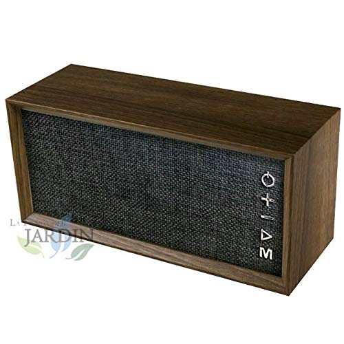 Radio Enceinte Vintage Noir avec Bluetooth 2 subwoofer et batterie au lithium - Les Beatles, Paul McCartney, John Lennon, RIngo Starr, George Harrison Radio Enceinte Vintage Noir avec Bluetooth 2 subwoofer et batterie au lithium