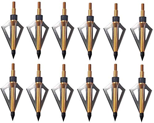 Pg1Archery 12 Pack 3 Fixed Blade Archery Hunting Broadheads 100 Grain With Case Arrow Head Screw-In Tips For Compound Bow & Crossbow (Golden) #TOP3