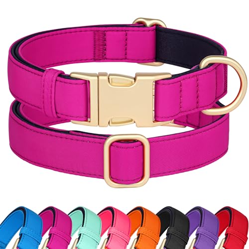 Didog Hundehalsband aus Nylon, weich gepolstert, strapazierfähiges Hundehalsband mit Schnellverschluss-Metallschnalle, leichtes und atmungsaktives Hunde Halsband für kleine Hunde,Hot Pink,S