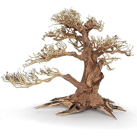 Amtra - Oriental Wind 4 Holz Cover