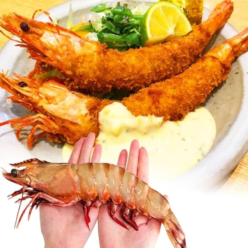 LCV VR CV 1200g V[^CK[ CV  1 󏭂ȑ^VRCV