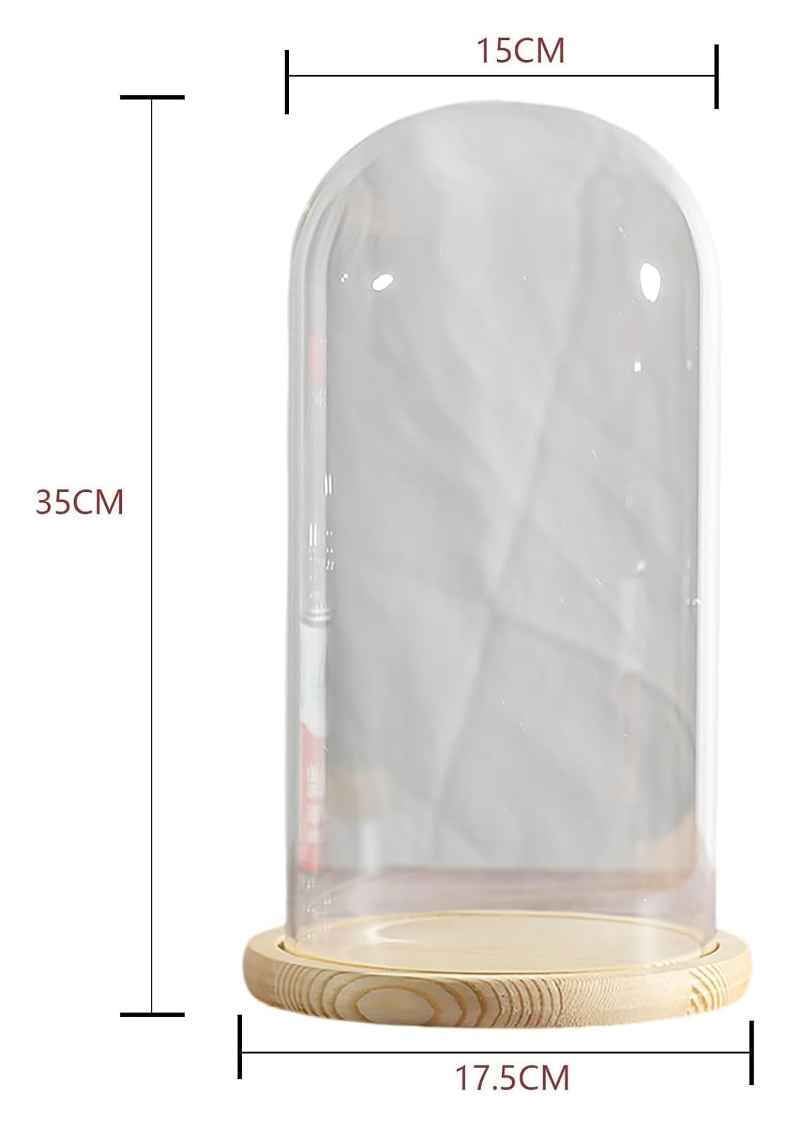Cloche en Verre avec Base en Bois Massif for Plantes, Ornements et Figurines, Hauteur 15 cm (30/35 cm), 15 x 30 cm(15*H35cm)