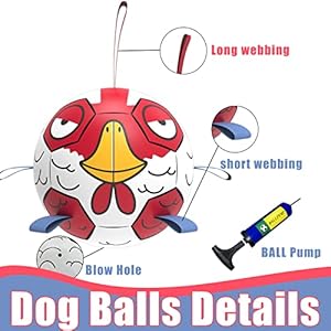 Chicken-Dog-Toys-Soccer-Ball-with-Straps-Interactive-Toys-for-Tug-of-War-Puppy-Birthday-Gifts-Dog-Water-Toy-Durable-Balls-for-Dogs8-Inch - Cucciolini Doodles   Chicken-Dog-Toys-Soccer-Ball-with-Straps-Interactive-Toys-for-Tug-of-War-Puppy-Birthday-Gifts-Dog-Water-Toy-Durable-Balls-for-Dogs8-Inch