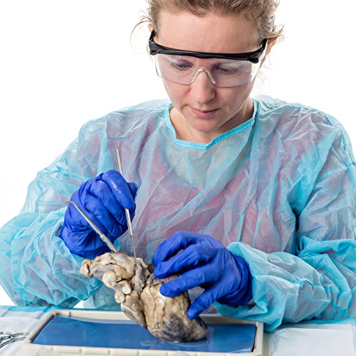 Iplusmile 14Pcs Straight Dissecting Needle Stainless Steel Single Ended Micro Fine Precision Probe Teasing Needles Biology Experiment Equipment For Lab #TOP6