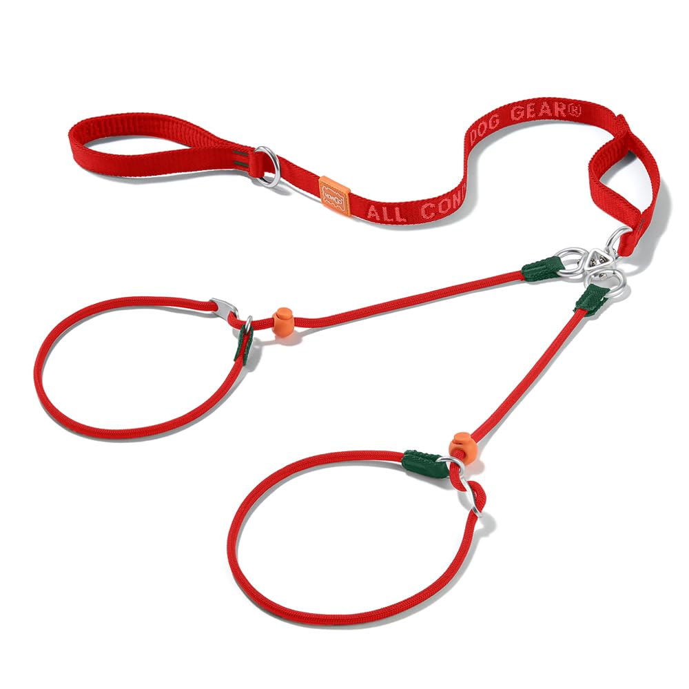 Howgo Double Slip Leash Slip Lead with Two Handles| Dual Dog Slip Lead for 2 Dogs,360° Swivel No Tangle | Dog Training Collar | Double Clip Leash