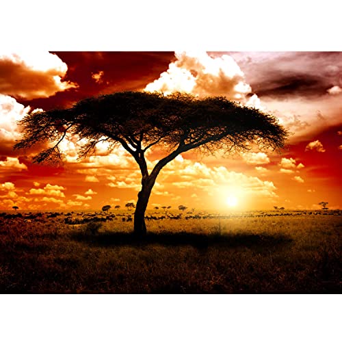 Runa Art Papel tapiz fotográfico Africa puesta de sol 352 x 250 cm Lana Fondo De Pantalla XXL Moderna Decoración De Pared Sala Cuarto Oficina Salón marrón naranja 9110011c