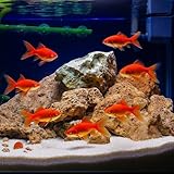 Zoom IMG-2 5kg pietra lavica per barbecue Zoom IMG-2 5kg pietra lavica per barbecue