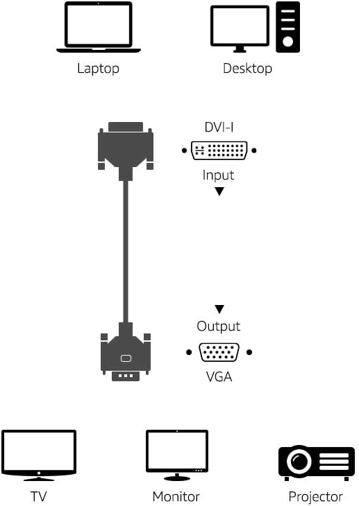 Amazon Basics DVI-I (24+5 Pin) to VGA Cable - 6-Foot
