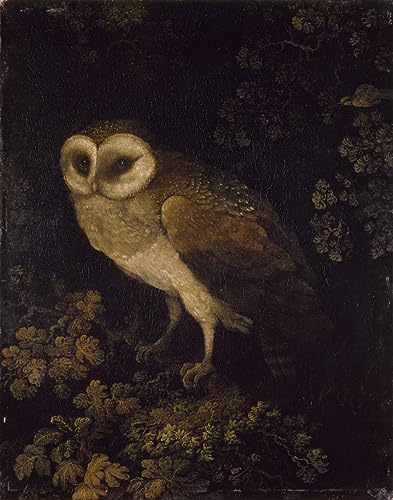 Toile peinture affiche murale hibou abstrait Moses Haughton décoration bureau 60x90cm