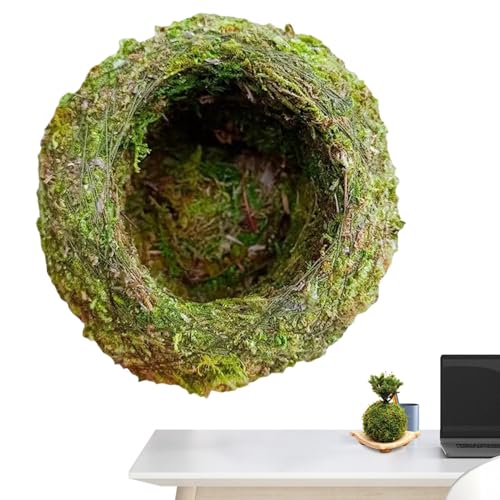 Bohany Fioriera a sfera di muschio, verde muschio – Fioriera di fiori naturale | Portavaso verde per piante in vaso di uccelli in vaso, decorazione muschio per il giardino di casa