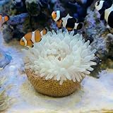 Anemone Nest, Saltwater Aquarium Accessories...