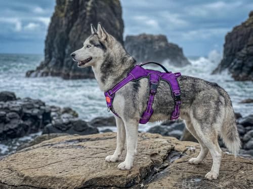 Image of Tuff Pupper Escape Proof No Escape Dog Harness | 5 Point Adjustable Fit Harness for Dogs | Padded Dog Harnesses | Handle Dog Lift Harnesses