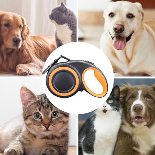 Chaîne pour chien rétractable robuste | Bande en nylon pratique 360° - 5