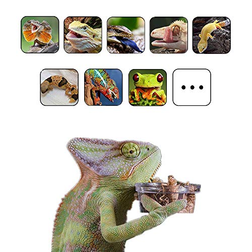 WOLEDOE 100Pcs Crested Gecko Food Dish, 0.5oz Plastic Reptile Feeding Cups - Image 7