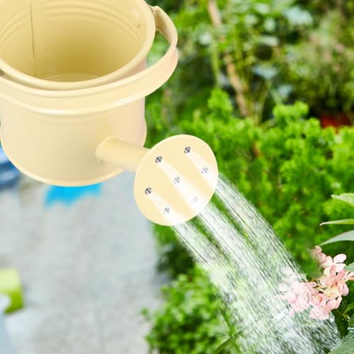 Bouilloire d'arrosage décorative Totority de 15 cm en fer avec long bec verseur de précision - 3